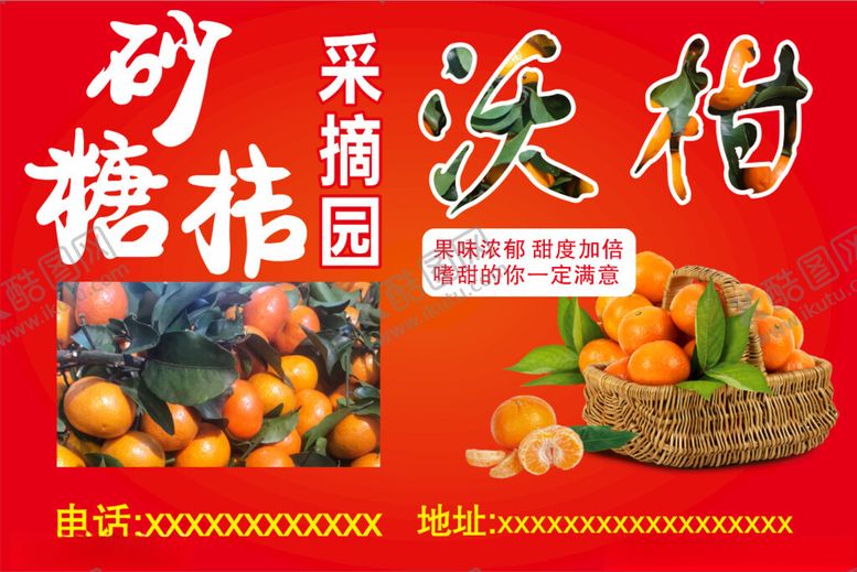 编号：79739002260036258941【酷图网】源文件下载-砂糖橘采摘园