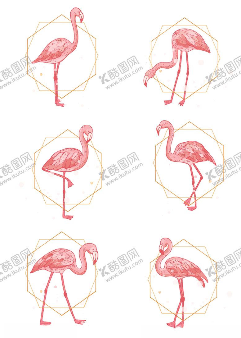 编号：11438510120256257535【酷图网】源文件下载-火烈鸟