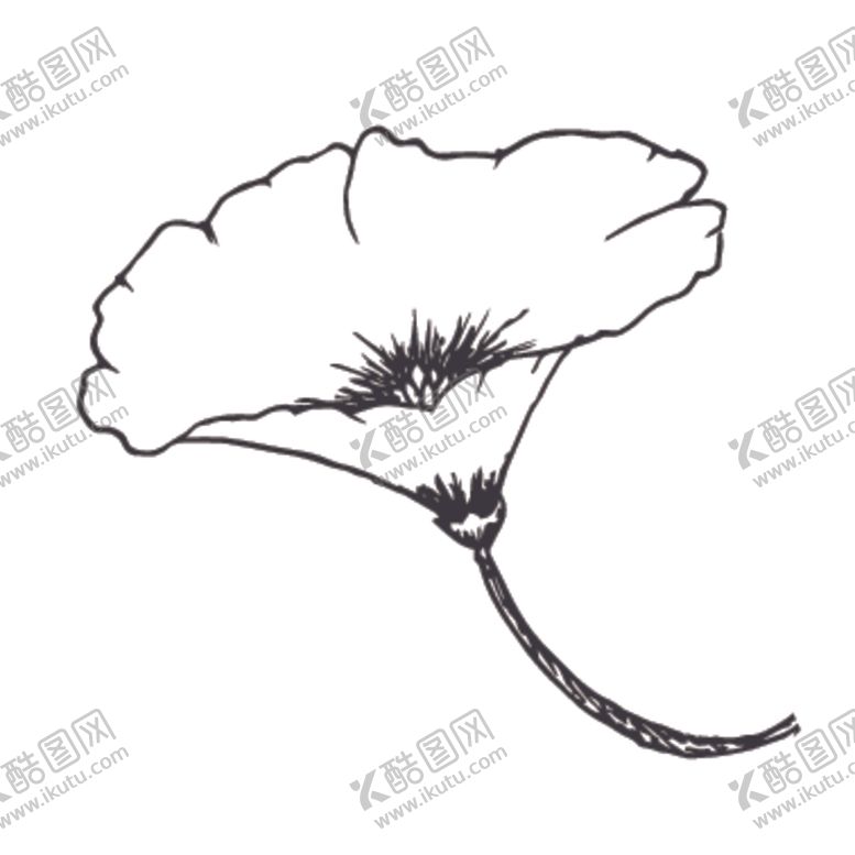 编号：49005410061848244820【酷图网】源文件下载-简笔绘画植物花朵图谱