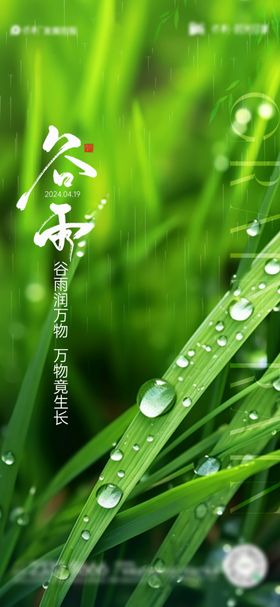 谷雨节气海报