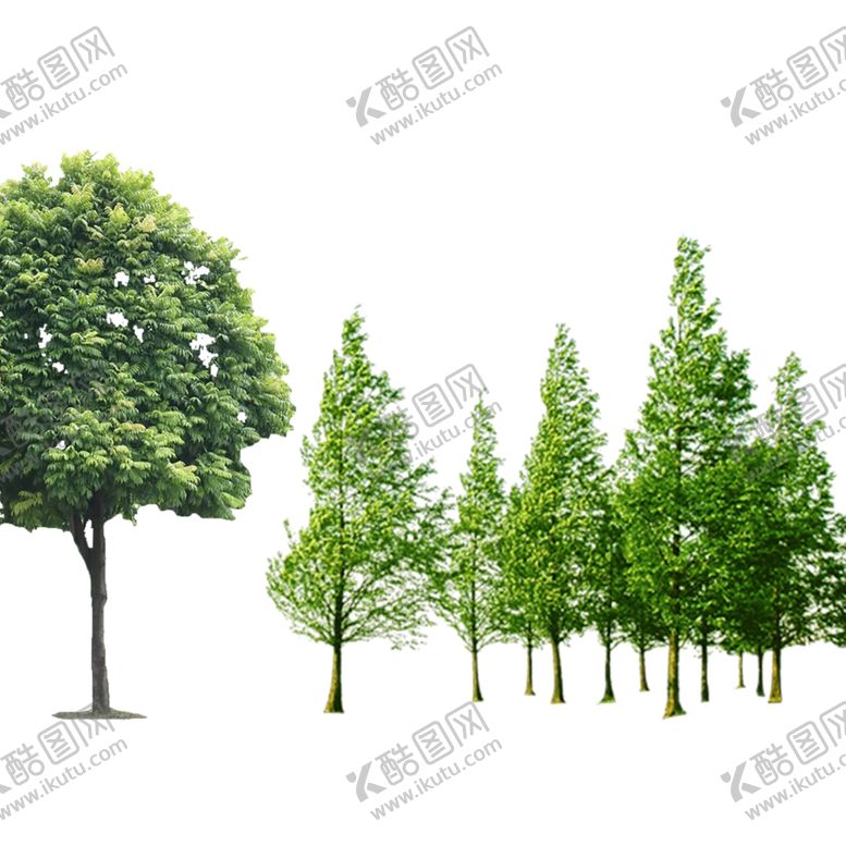 编号：23383707080749216580【酷图网】源文件下载-一组树（右面几棵树是一个层）