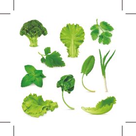 蔬菜新鲜绿色健康食材