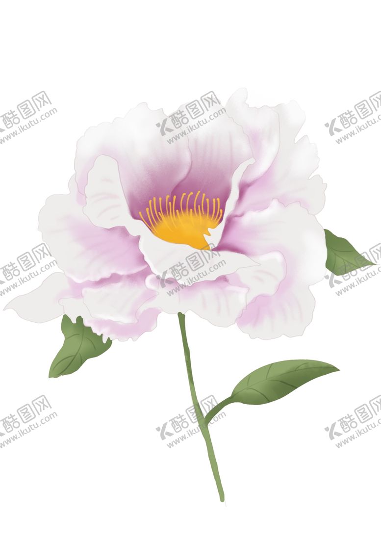 编号：19594304221010068584【酷图网】源文件下载-牡丹插画素材