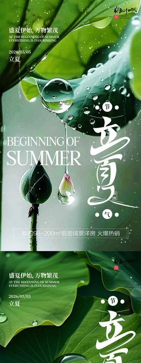 立夏传统节气海报