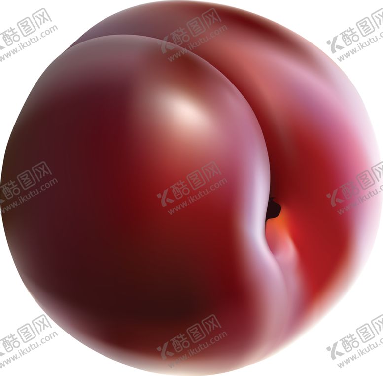编号：51931607052037406574【酷图网】源文件下载-李子