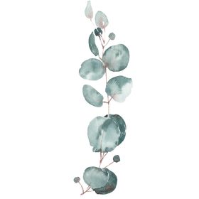 小清新水彩植物树枝