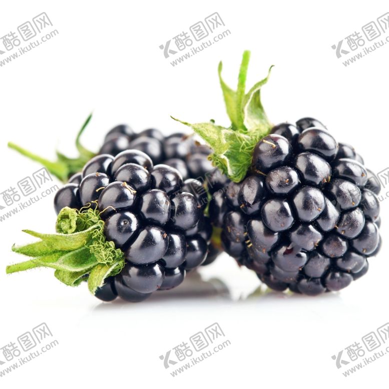 编号：45545410190625036898【酷图网】源文件下载-黑莓