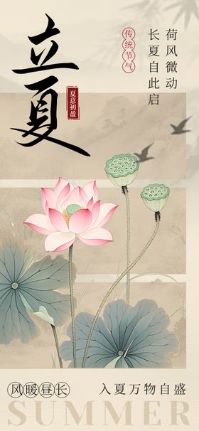 立夏时节荷花绽放