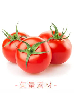 番茄西红柿