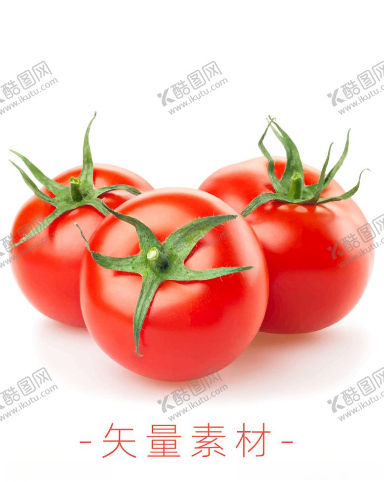 编号：53614009290338315116【酷图网】源文件下载-番茄西红柿