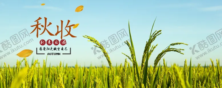 编号：74543306301936098574【酷图网】源文件下载-手机壁纸