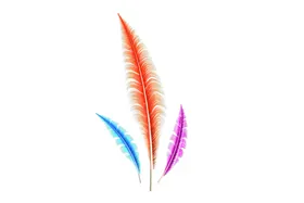 羽毛  素材