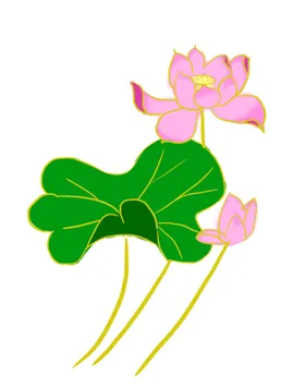 荷花图