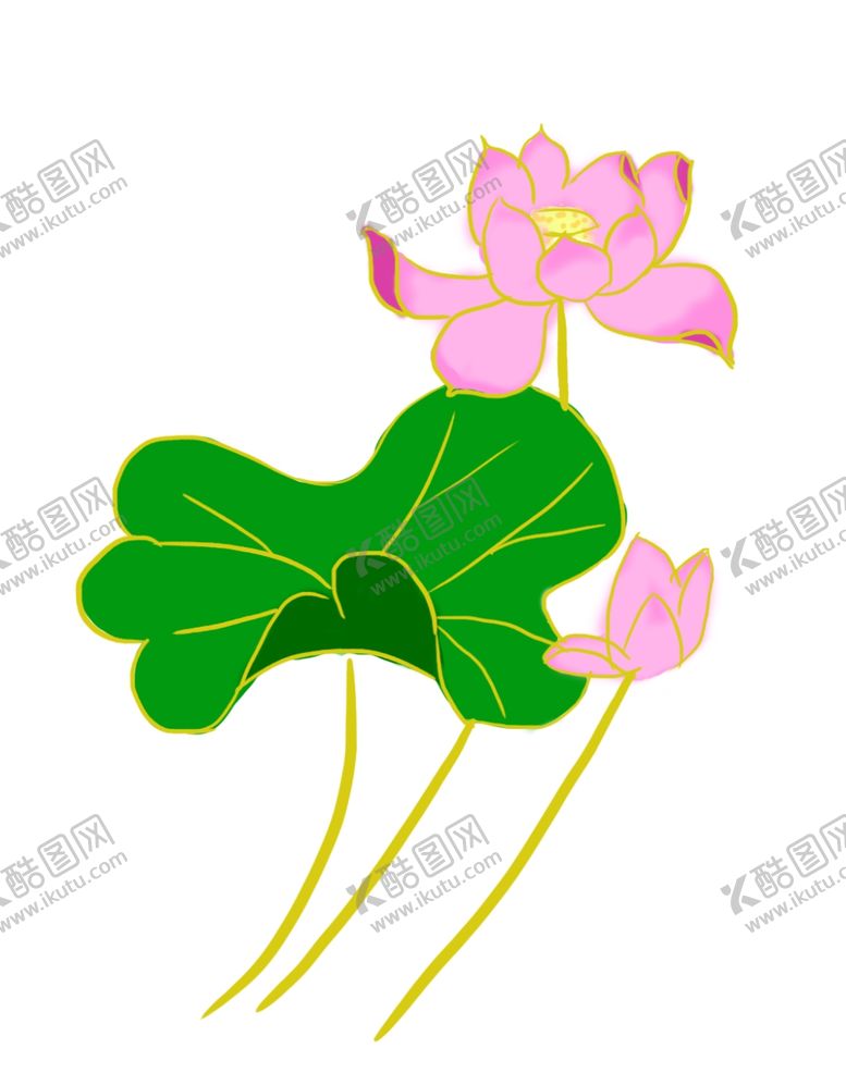 编号：24256203150731513521【酷图网】源文件下载-荷花图