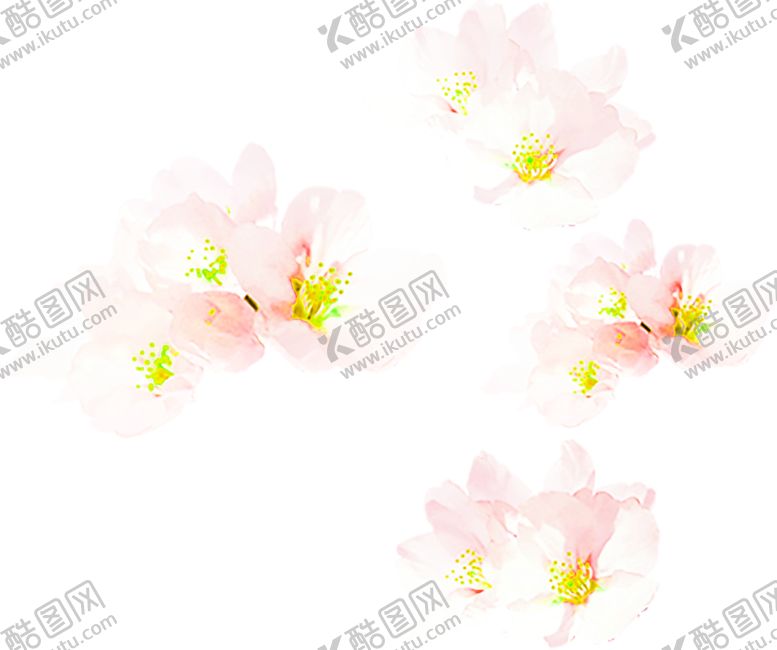 编号：13777210021509453398【酷图网】源文件下载-花素材