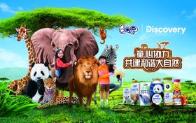 伊利QQ星