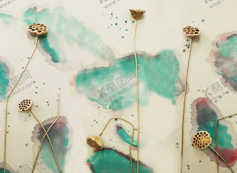 编号：54874010130207125578【酷图网】源文件下载-莲蓬荷花