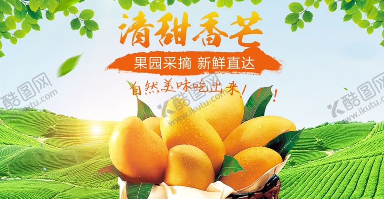 编号：68354310062303459449【酷图网】源文件下载-清甜芒果果香四溢海报