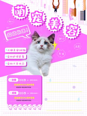 宠物海报用品淘宝首页美容