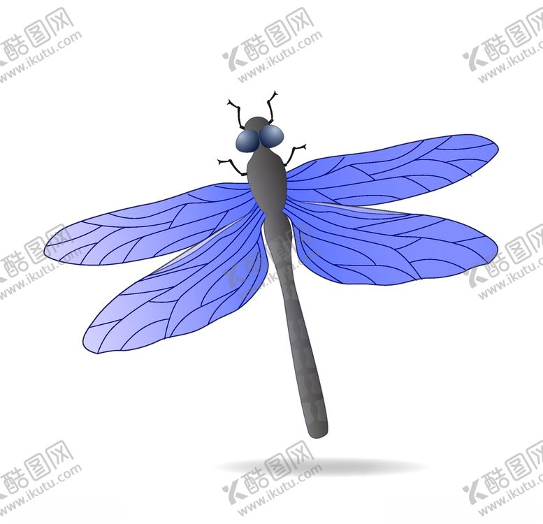 编号：36621804192047259072【酷图网】源文件下载-蓝色蜻蜓昆虫图片插画