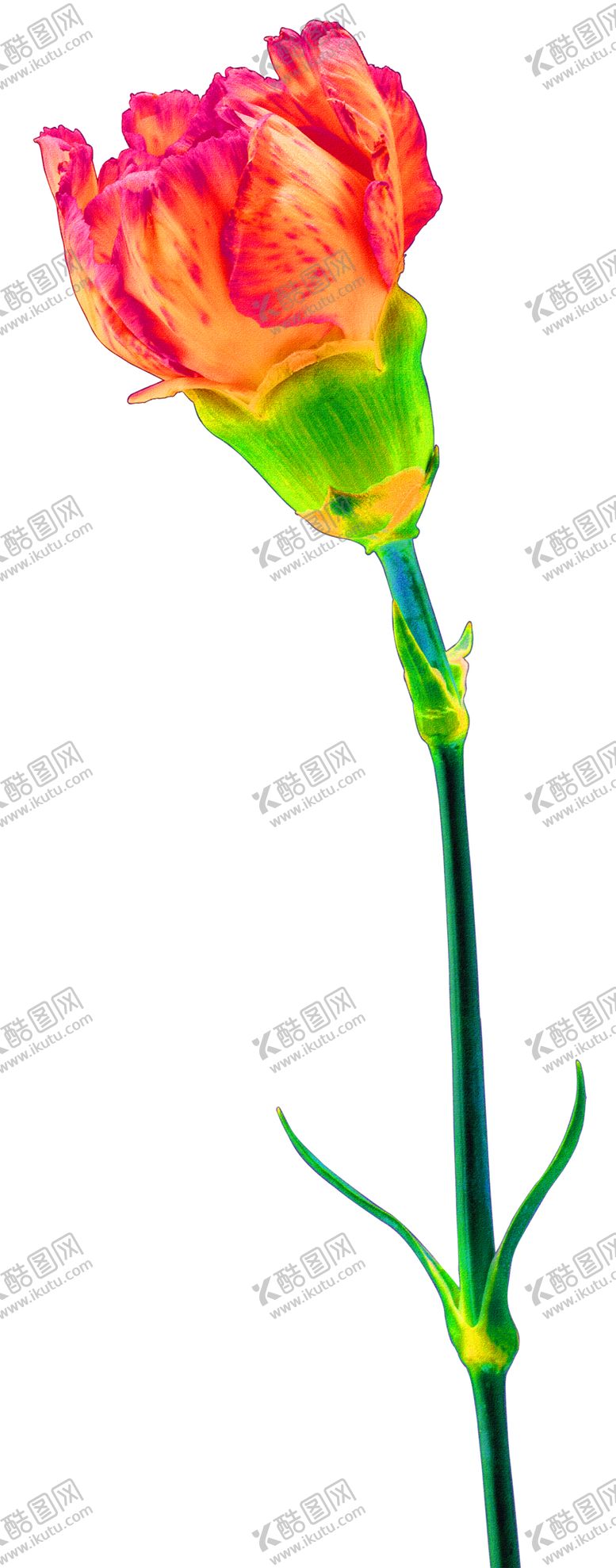 编号：89240509271012315192【酷图网】源文件下载-浪漫素材