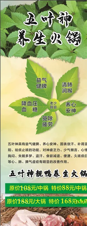 五叶神展架