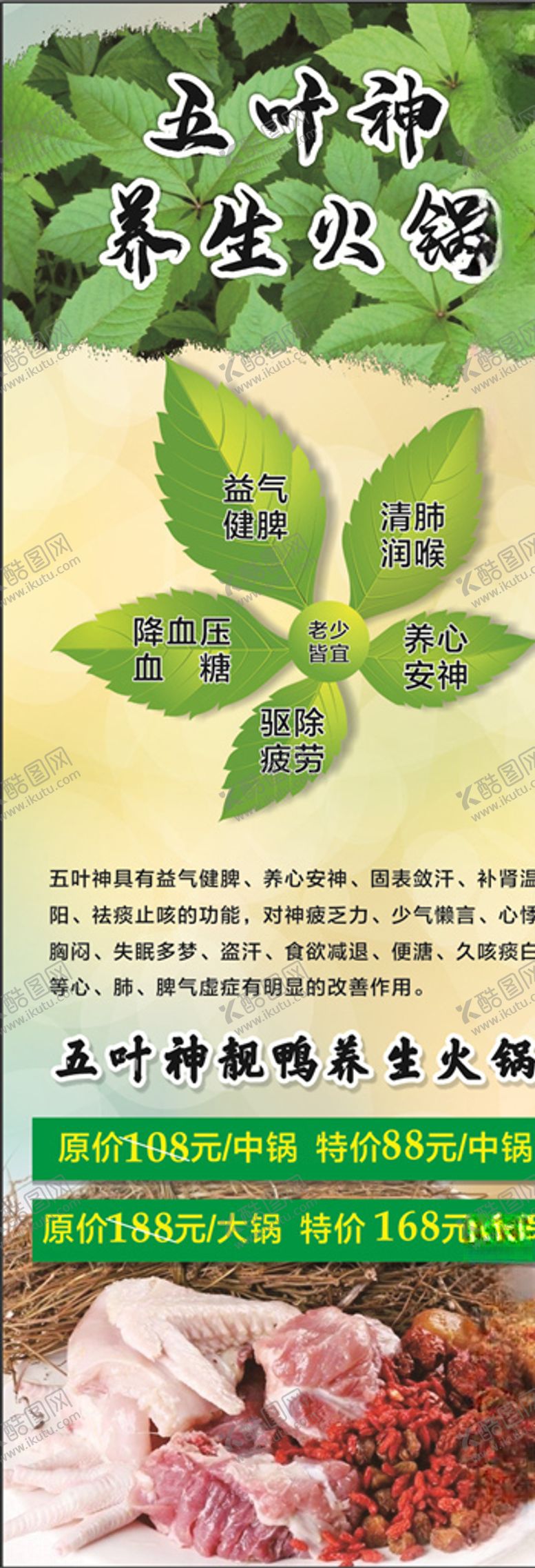 编号：61125506231909548768【酷图网】源文件下载-五叶神展架