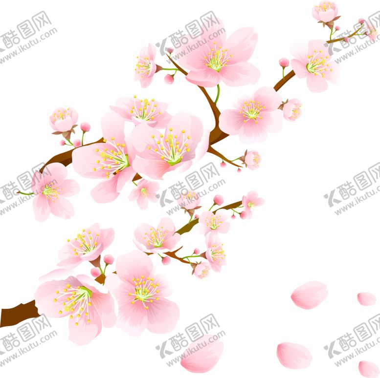 编号：38091804261829492028【酷图网】源文件下载-樱花素材