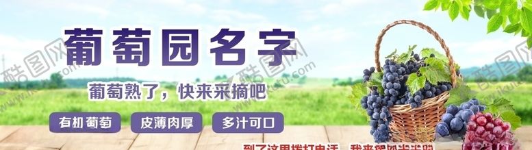 编号：96317807122047596481【酷图网】源文件下载-葡萄采摘