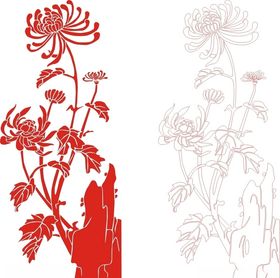 菊花