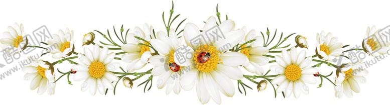 编号：27137909192234216463【酷图网】源文件下载-鲜花素材