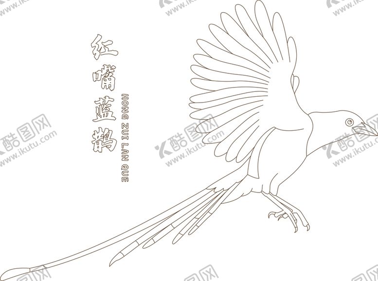 编号：18294009200208406845【酷图网】源文件下载-红嘴蓝鹊线稿