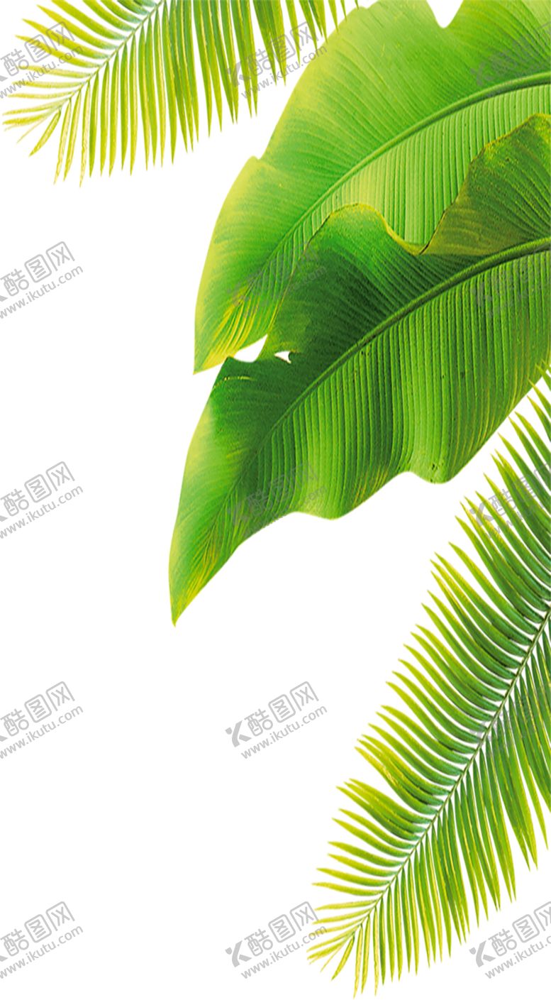 编号：60257206300807548266【酷图网】源文件下载-绿色植物