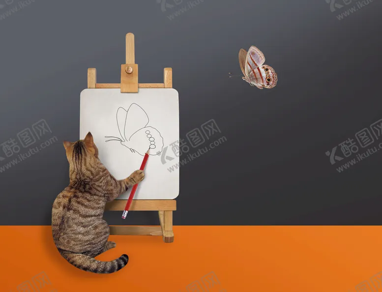 编号：59658210180150593072【酷图网】源文件下载-猫咪装饰画
