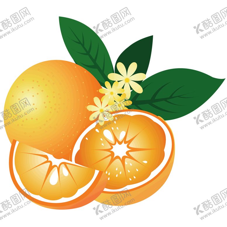 编号：67025607040722511064【酷图网】源文件下载-水果