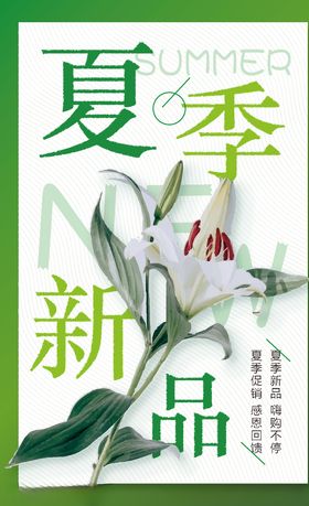 夏季新品