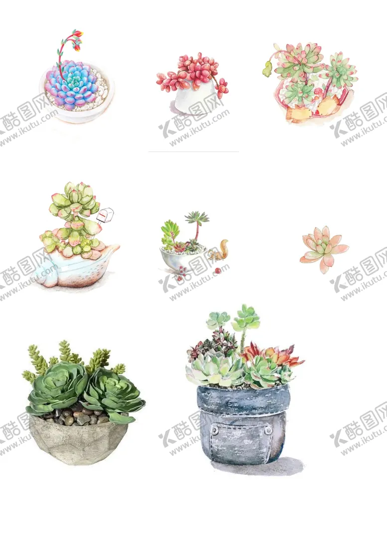 编号：49913411290515527582【酷图网】源文件下载-多肉插画