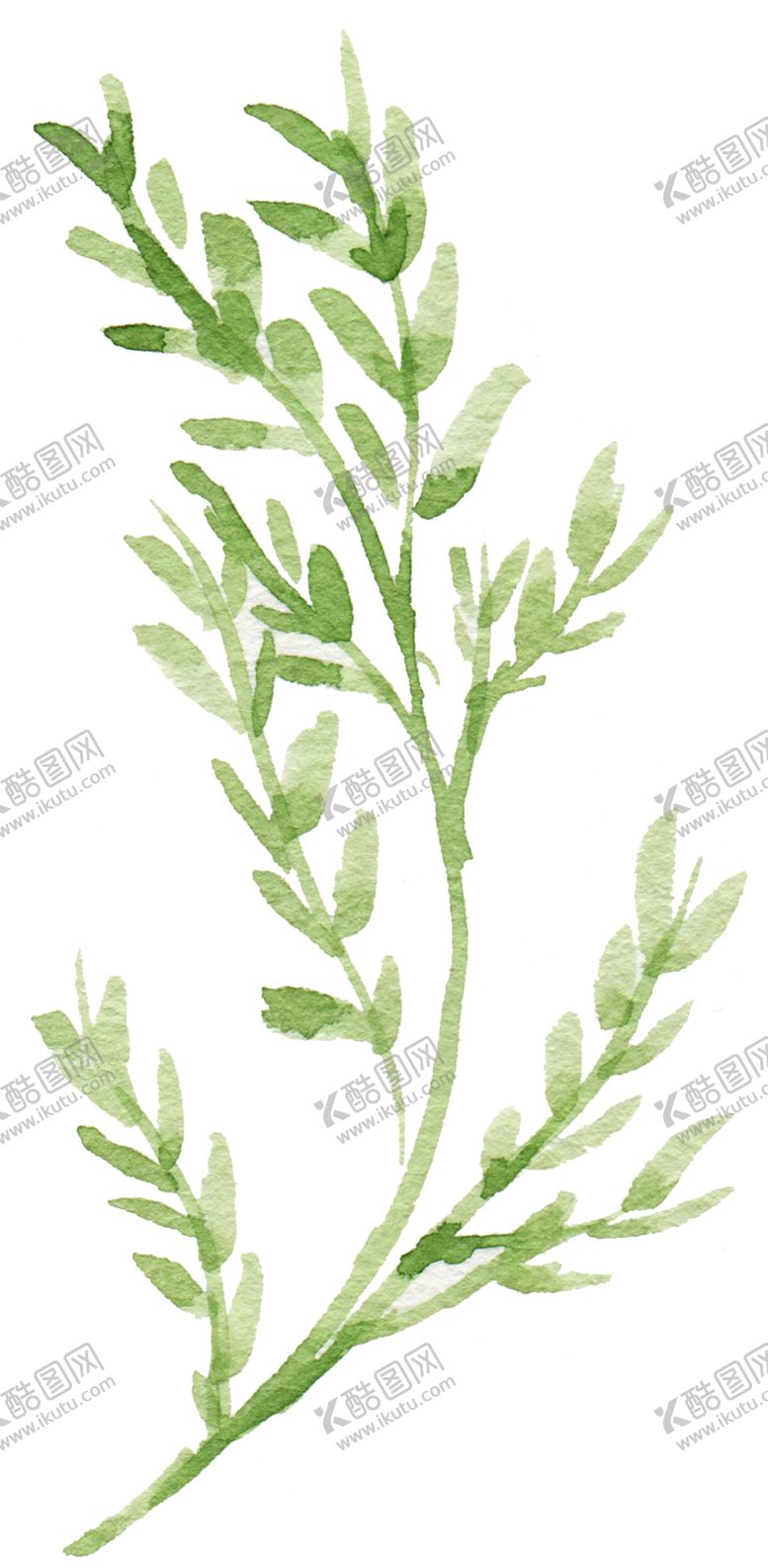 编号：87115410260427387719【酷图网】源文件下载-绿色装饰