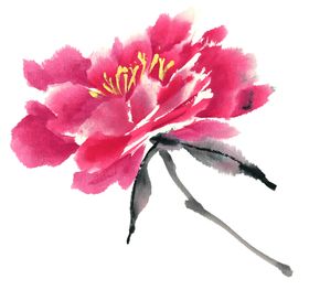牡丹花鸟画手绘朵红国画