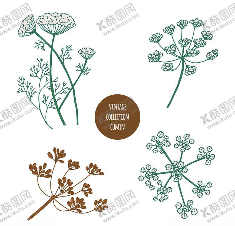 编号：45192606161752262798【酷图网】源文件下载-植物线稿