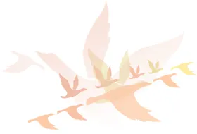 鸽子和平小鸟麻雀