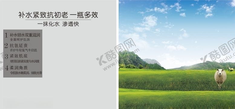 编号：82298109191022353491【酷图网】源文件下载-绵羊背景