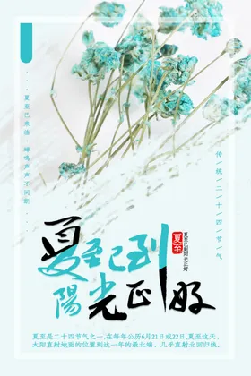 夏至节气