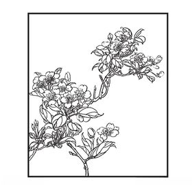 满树梨花