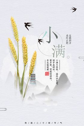 小满海报二十四节气传统节气