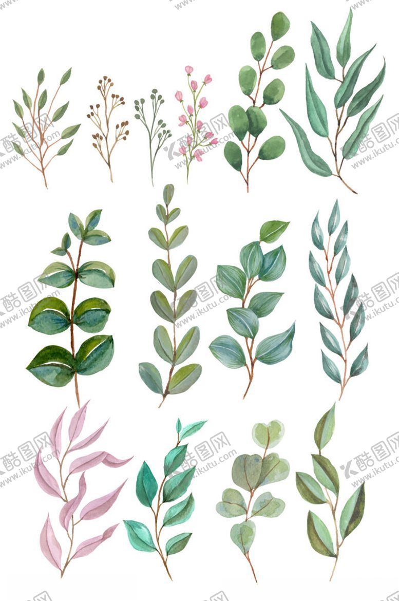 编号：97074302270431547126【酷图网】源文件下载-手绘水彩绿植插画元素
