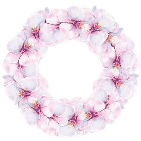 水彩花卉热带花花朵