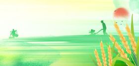 芒种节气浅绿色肌理风芒种背景