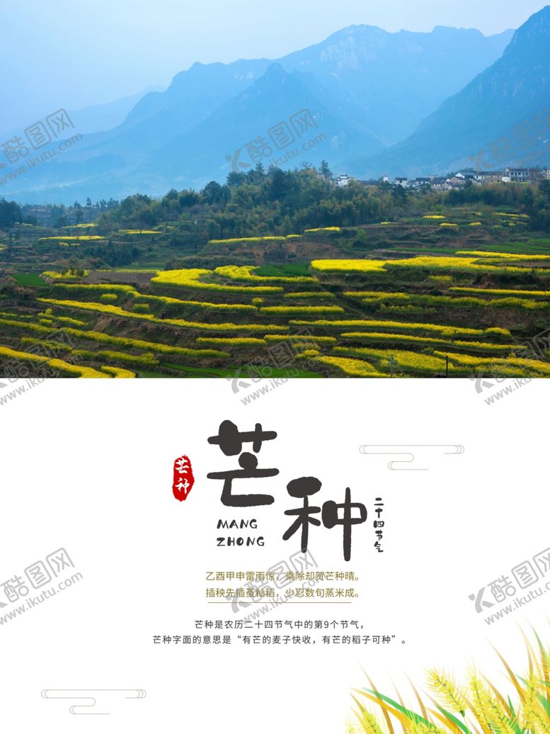 编号：13845110110952423897【酷图网】源文件下载-传统二十四节气芒种主题海报