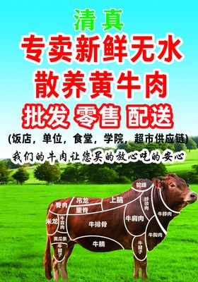 散养黄牛肉